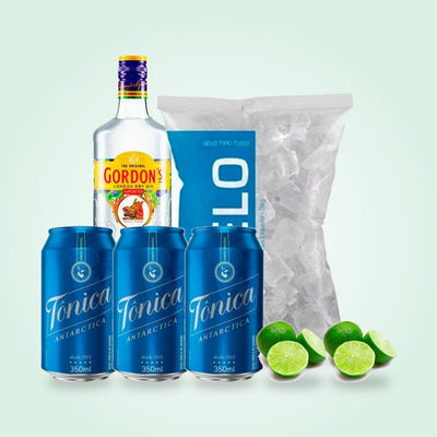 Gin Tônica em Casa